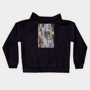 Blue Banded Bee Kids Hoodie